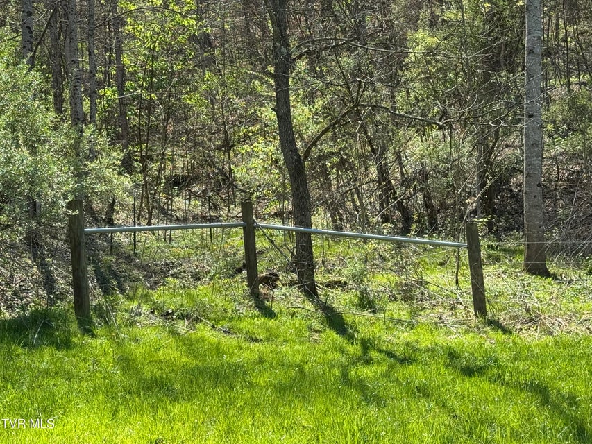 Photo #13: 9296 Bristol Highway