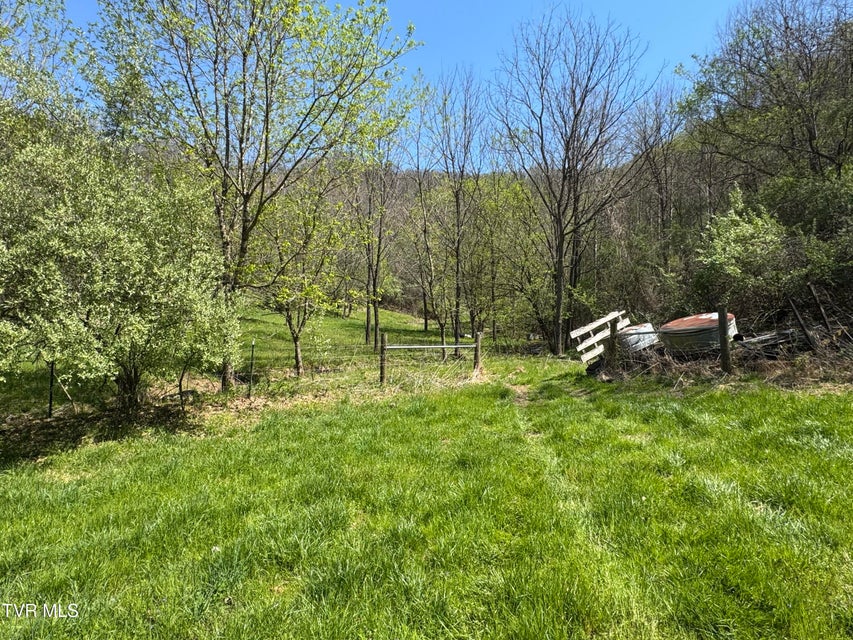 Photo #14: 9296 Bristol Highway