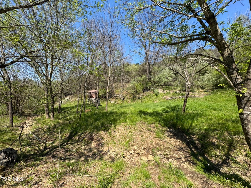 Photo #15: 9296 Bristol Highway