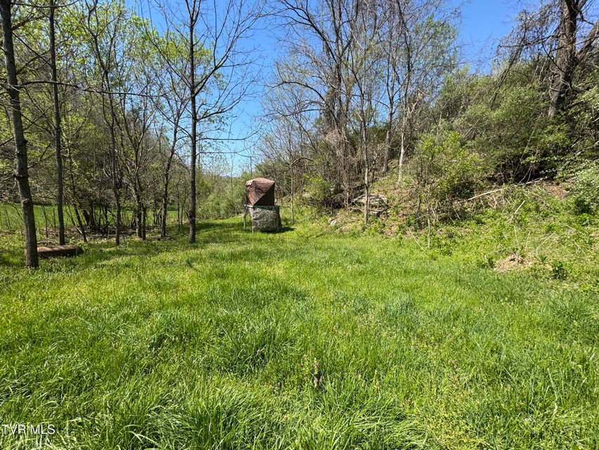 Photo #16: 9296 Bristol Highway