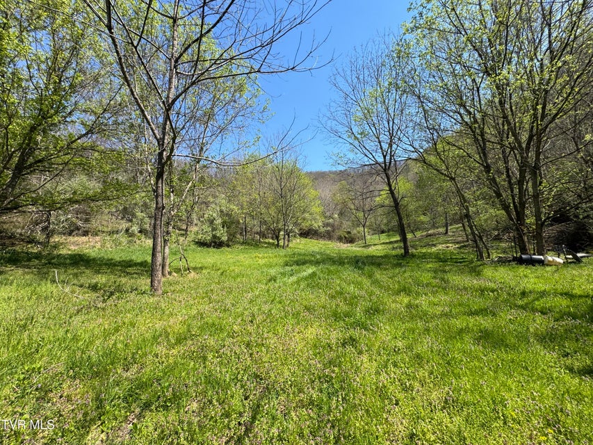 Photo #17: 9296 Bristol Highway