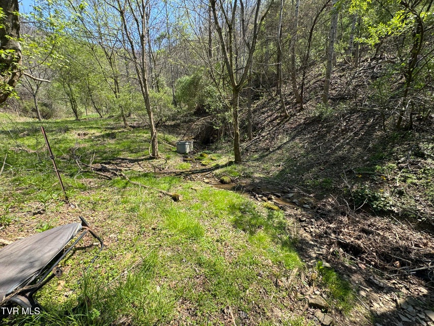 Photo #18: 9296 Bristol Highway