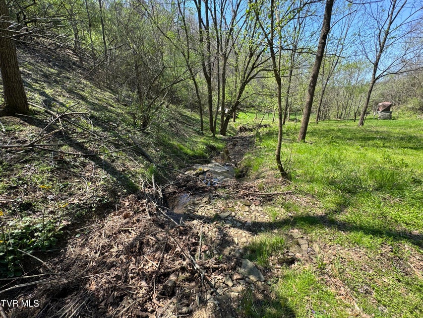 Photo #19: 9296 Bristol Highway