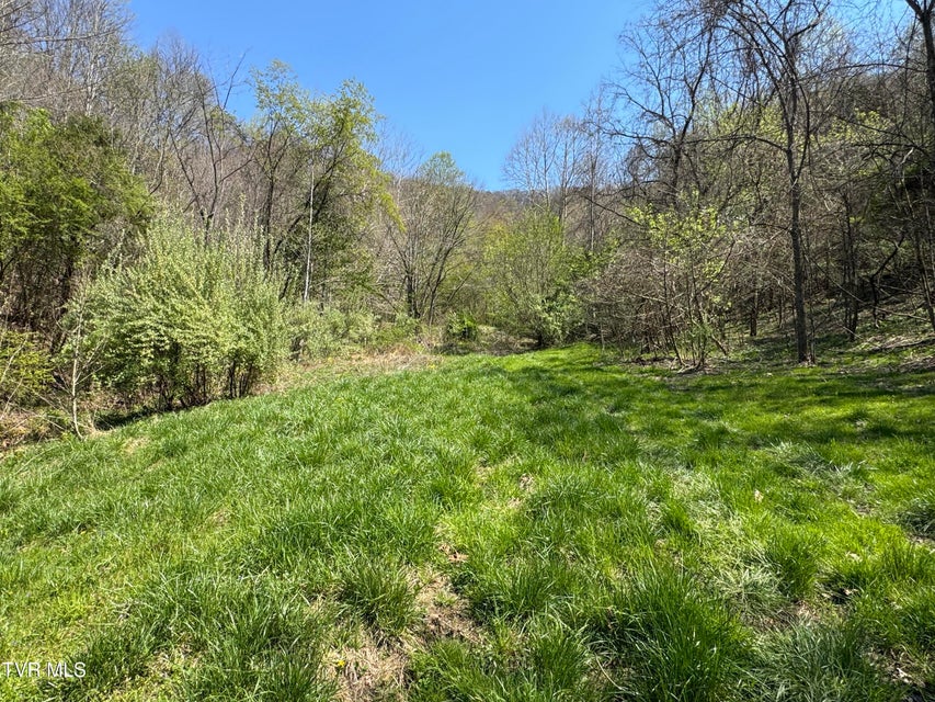 Photo #21: 9296 Bristol Highway