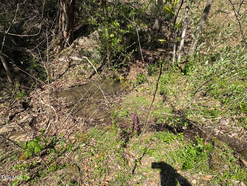 Photo #22: 9296 Bristol Highway