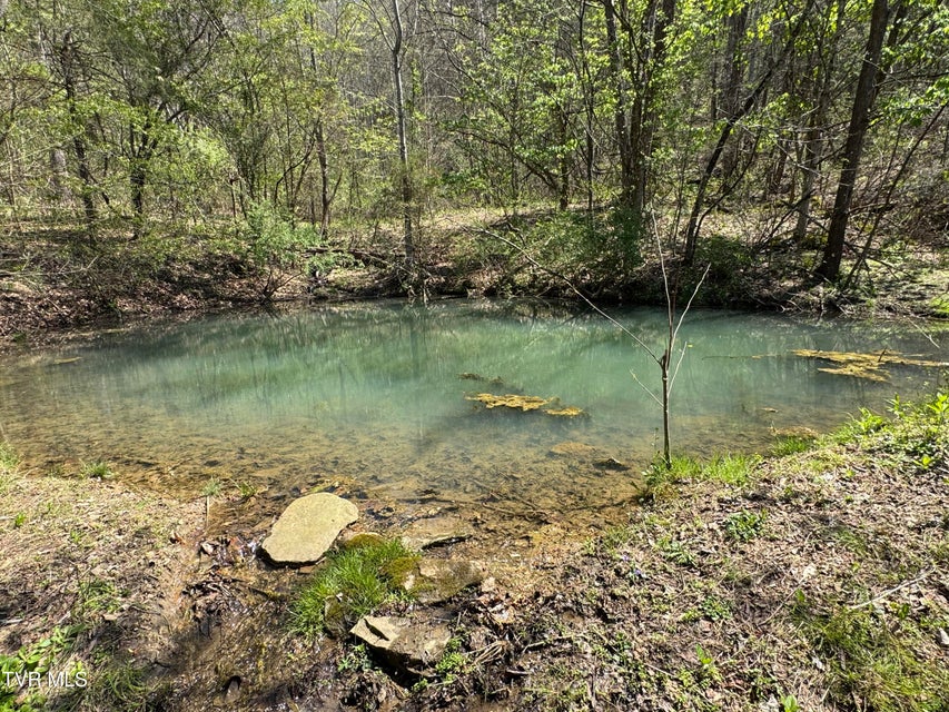 Photo #24: 9296 Bristol Highway