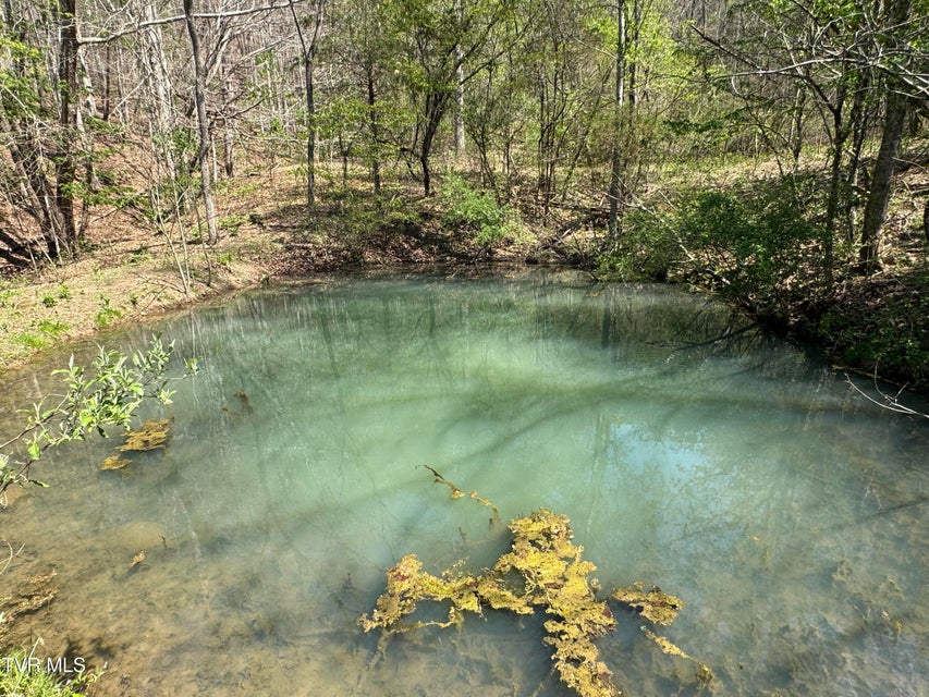 Photo #25: 9296 Bristol Highway