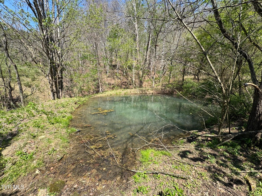 Photo #26: 9296 Bristol Highway