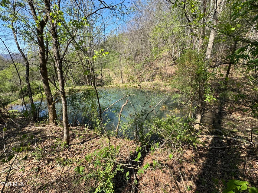 Photo #27: 9296 Bristol Highway