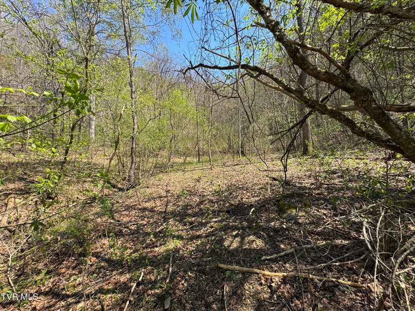 Photo #28: 9296 Bristol Highway