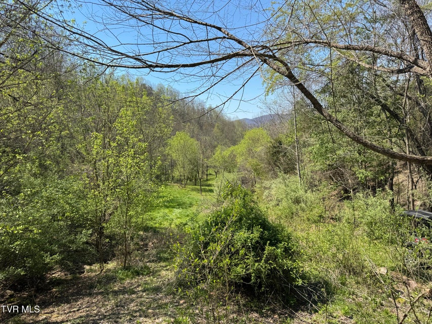 Photo #29: 9296 Bristol Highway