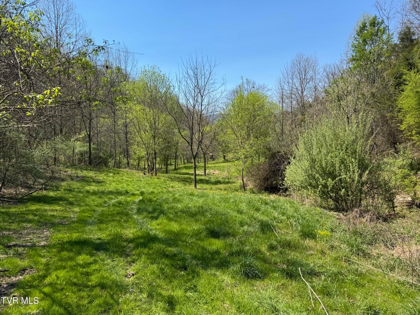 Photo #30: 9296 Bristol Highway