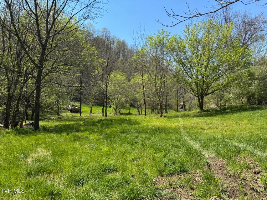 Photo #31: 9296 Bristol Highway