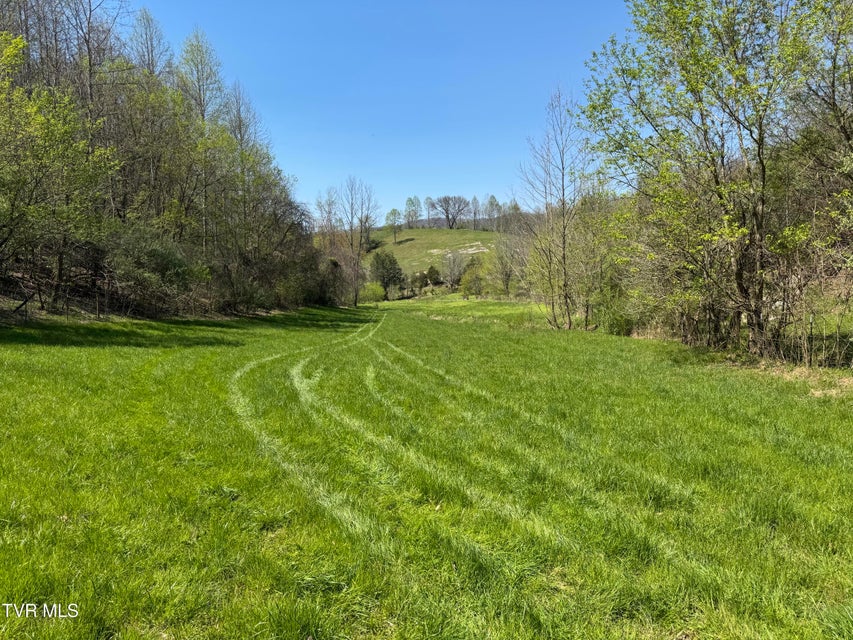 Photo #32: 9296 Bristol Highway