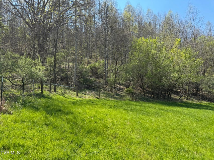 Photo #33: 9296 Bristol Highway