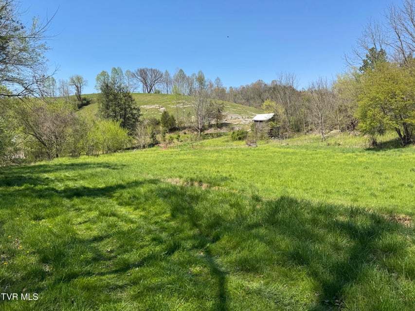 Photo #34: 9296 Bristol Highway