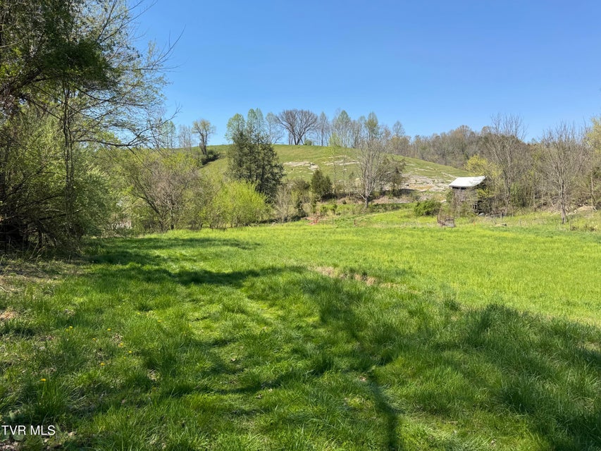 Photo #35: 9296 Bristol Highway