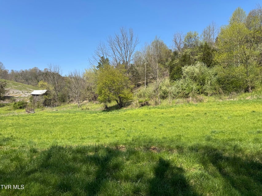 Photo #36: 9296 Bristol Highway