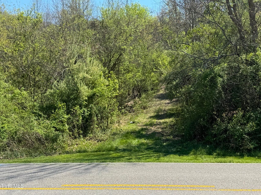 Photo #37: 9296 Bristol Highway