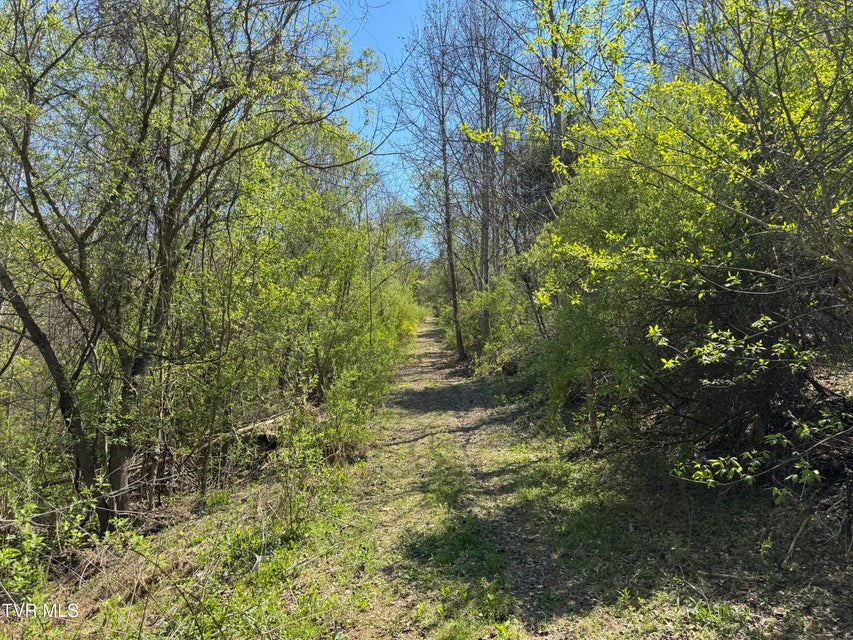 Photo #38: 9296 Bristol Highway