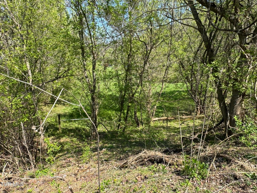 Photo #39: 9296 Bristol Highway