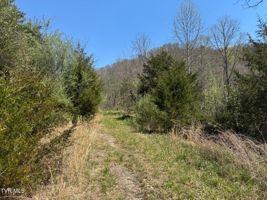 Photo #40: 9296 Bristol Highway