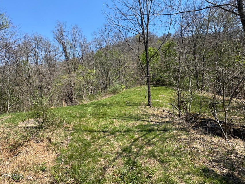 Photo #41: 9296 Bristol Highway