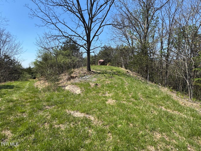 Photo #42: 9296 Bristol Highway