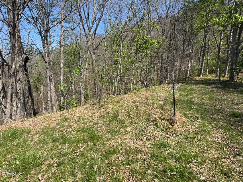 Photo #43: 9296 Bristol Highway