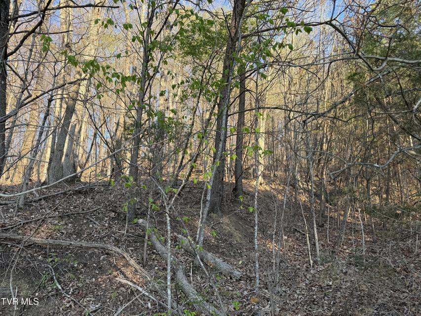 Photo #4: Tbd Possum Hollow Road