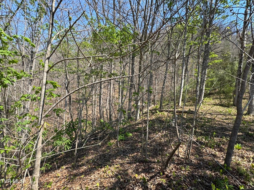 Photo #44: 9296 Bristol Highway