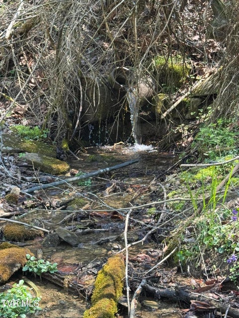 Photo #20: 9296 Bristol Highway