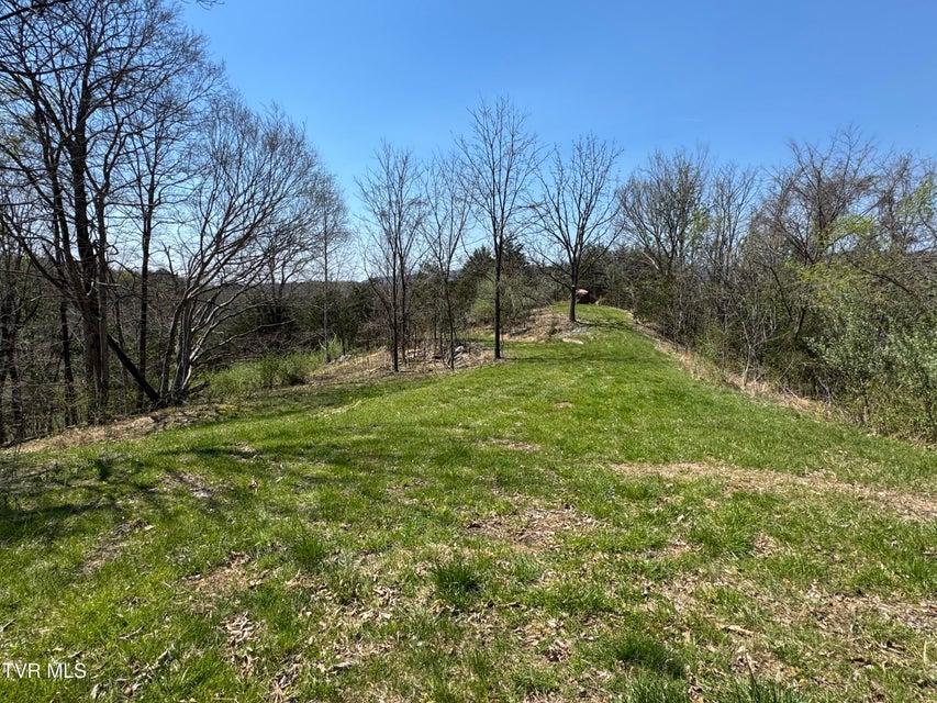 Photo #46: 9296 Bristol Highway