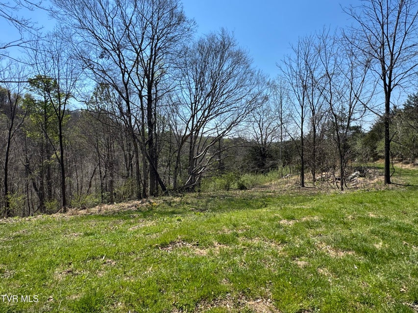 Photo #47: 9296 Bristol Highway