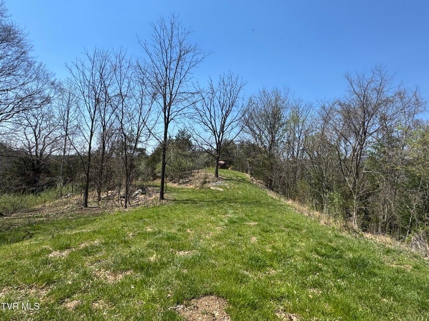 Photo #48: 9296 Bristol Highway