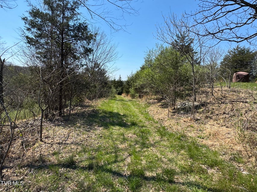 Photo #49: 9296 Bristol Highway