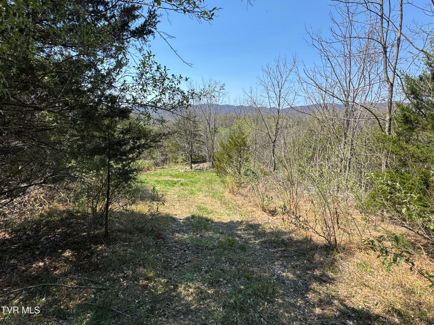 Photo #50: 9296 Bristol Highway