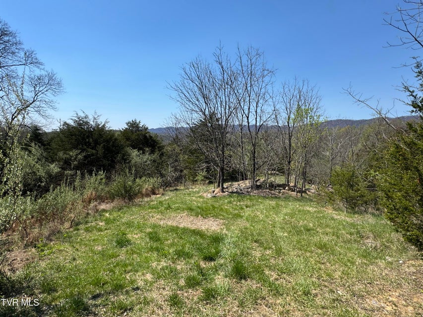 Photo #51: 9296 Bristol Highway