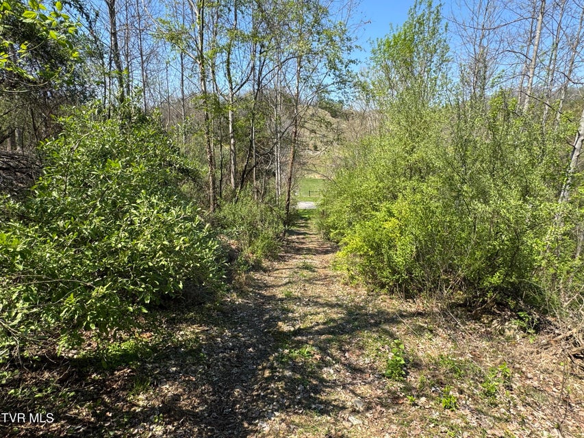 Photo #52: 9296 Bristol Highway