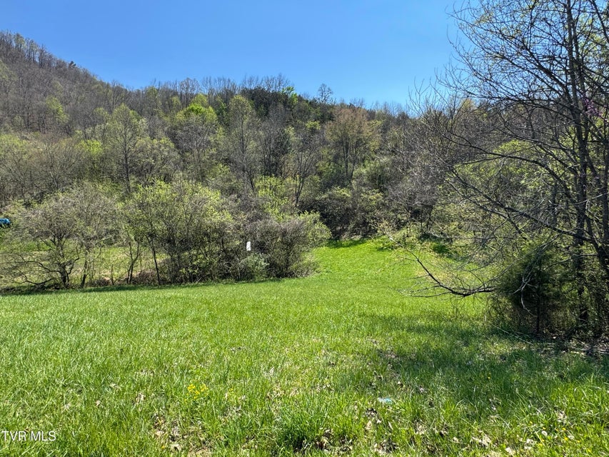 Photo #55: 9296 Bristol Highway