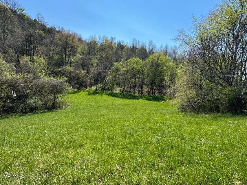 Photo #56: 9296 Bristol Highway