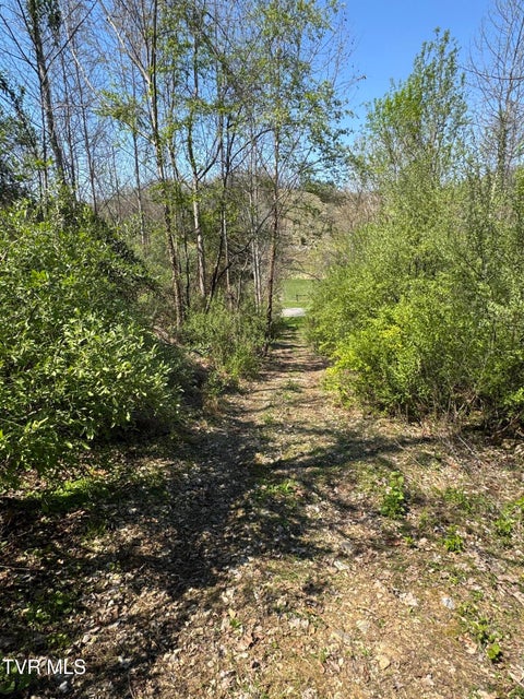 Photo #53: 9296 Bristol Highway