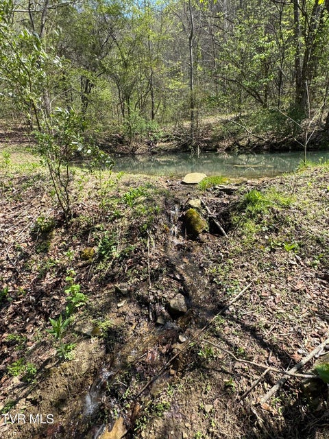 Photo #23: 9296 Bristol Highway