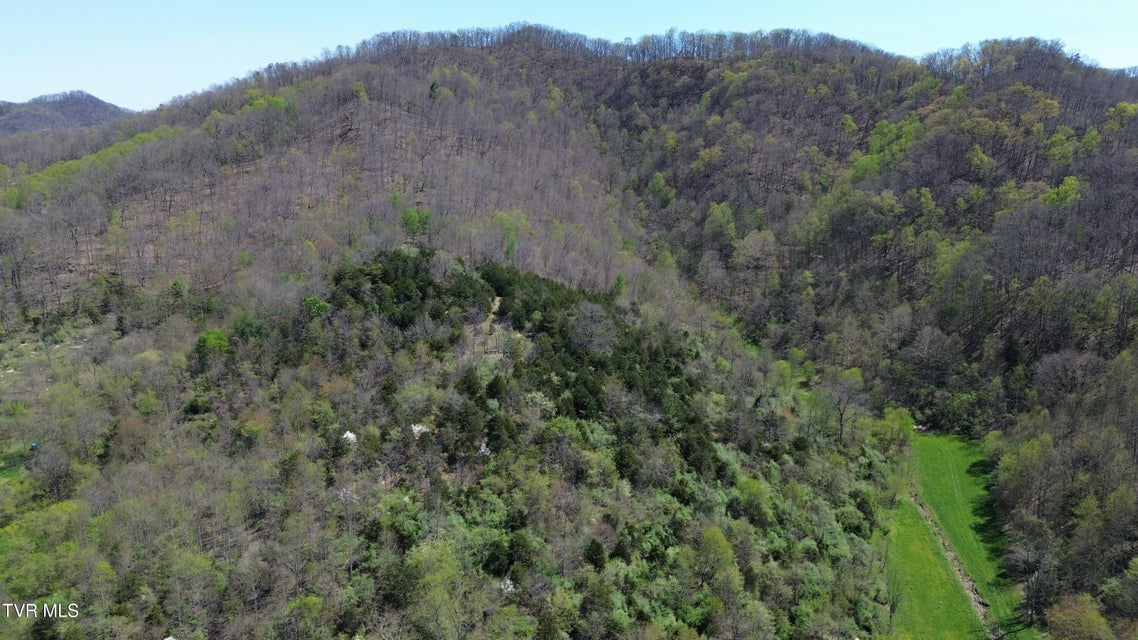 Photo #69: 9296 Bristol Highway