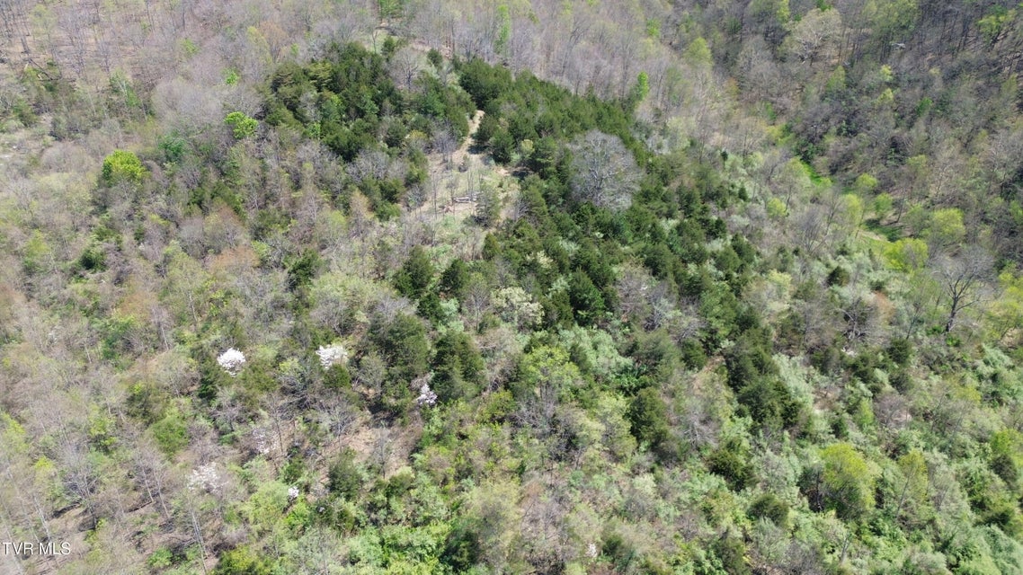 Photo #70: 9296 Bristol Highway