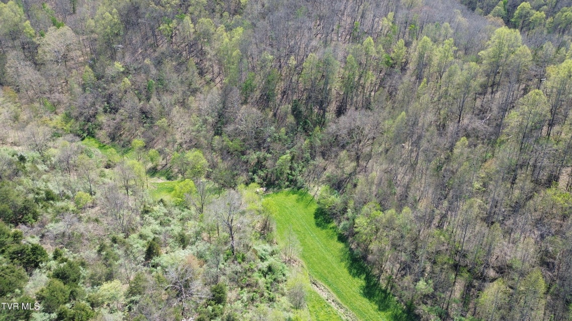 Photo #71: 9296 Bristol Highway