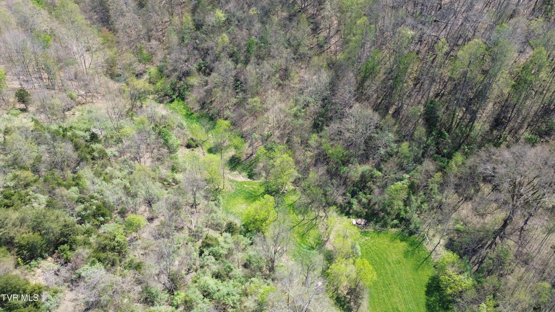 Photo #72: 9296 Bristol Highway