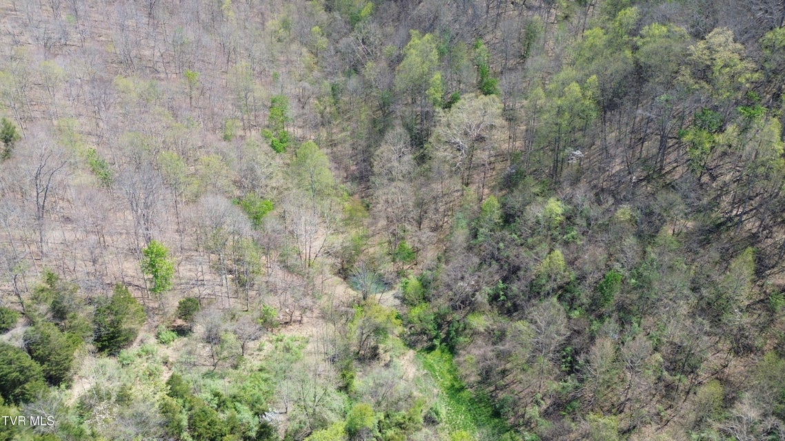 Photo #73: 9296 Bristol Highway