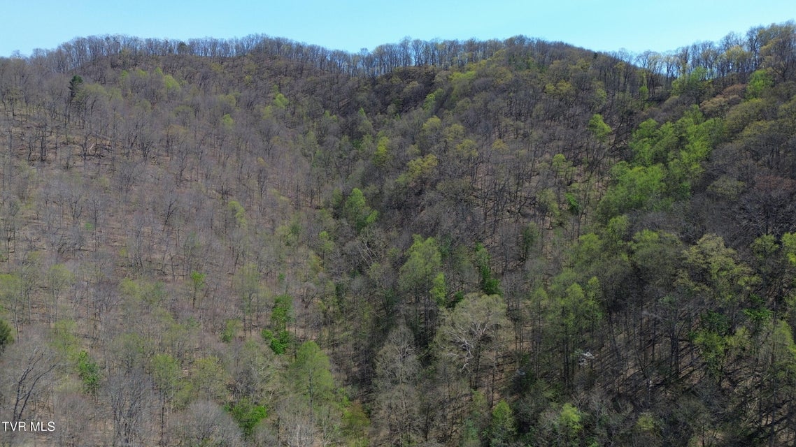 Photo #74: 9296 Bristol Highway