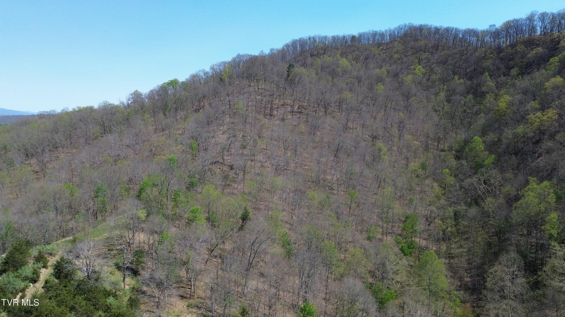 Photo #75: 9296 Bristol Highway